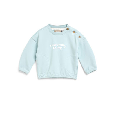 Boys Light Green Printed Sweatshirt